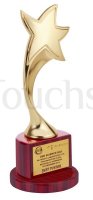 Curved Star Trophy